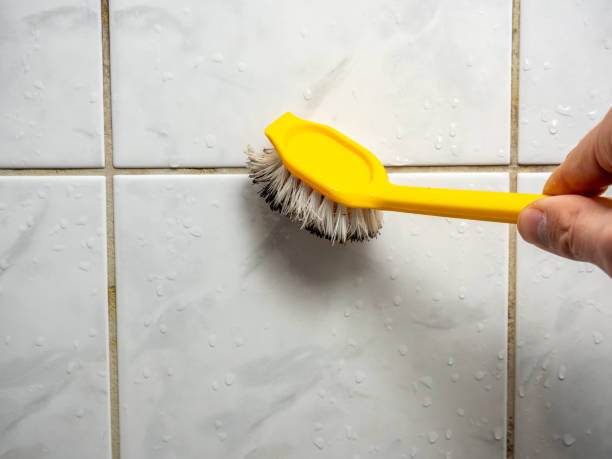 Best Mold Remediation for Schools in Alamo, GA