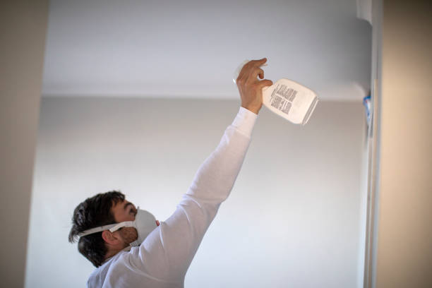 Best Bathroom Mold Remediation in Alamo, GA