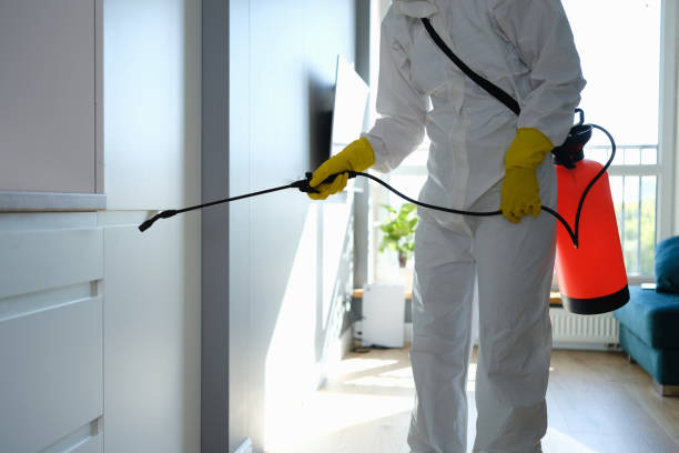 Best Bathroom Mold Remediation in Alamo, GA